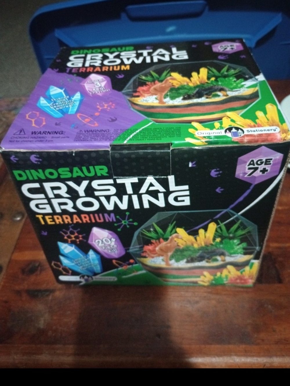 Dinosaur Crystal Growing Terrarium Kit - Purple & Green